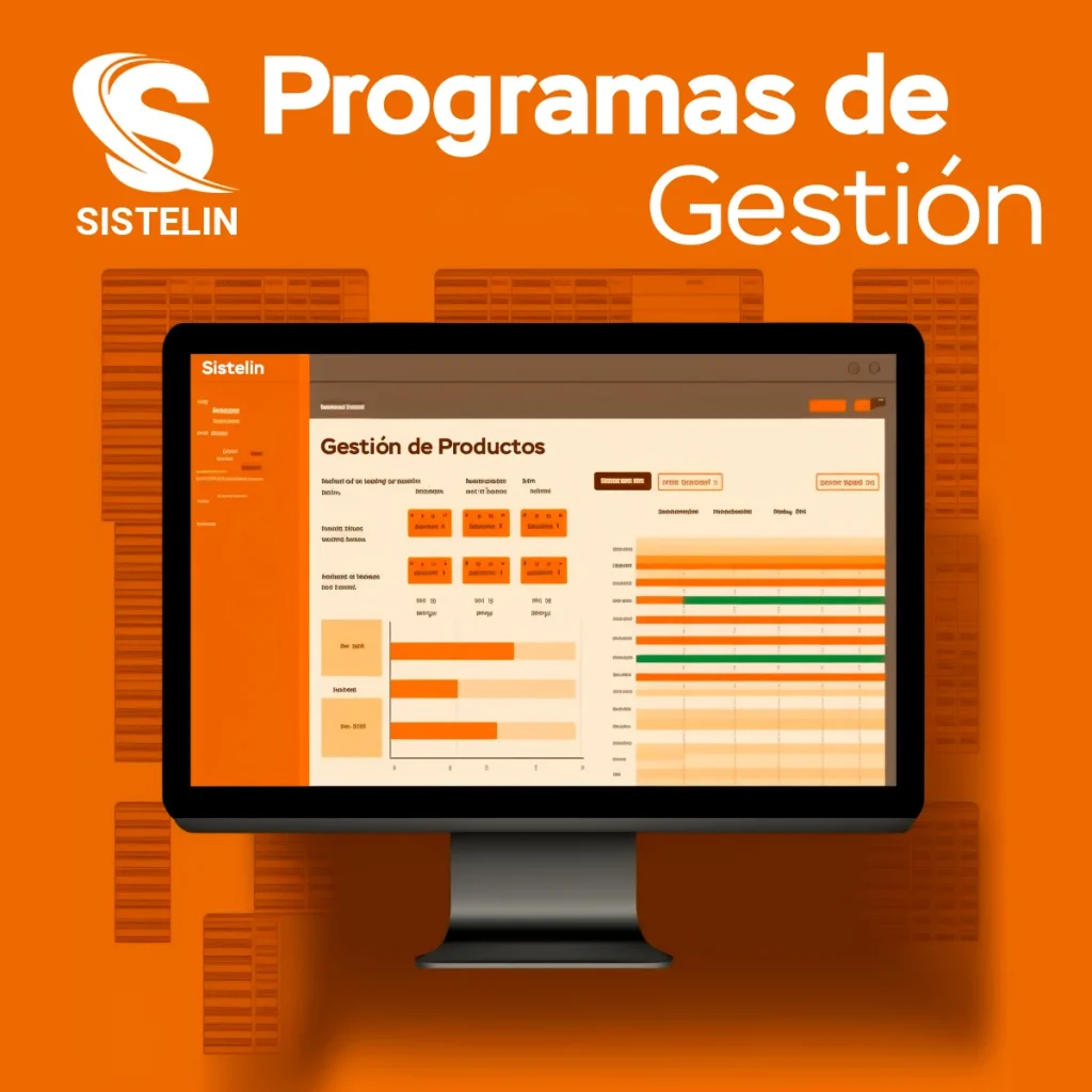 programas de gestión