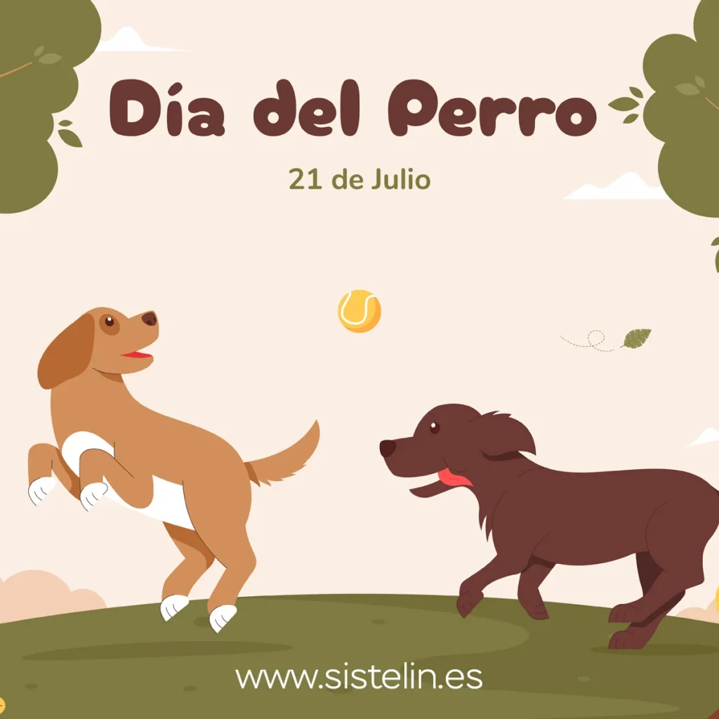 perro